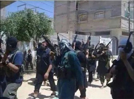 terroristas en arsal